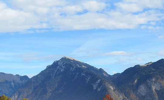 女生英文名字唯美簡(jiǎn)單可愛(ài)