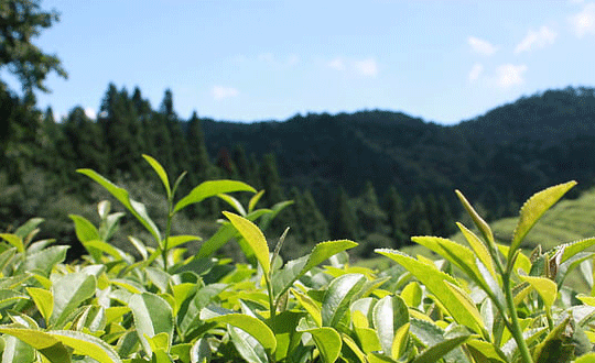 男孩好名字寓意深遠