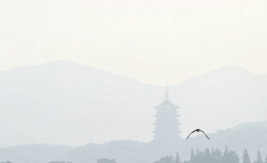 鼠年女寶寶起名禁忌