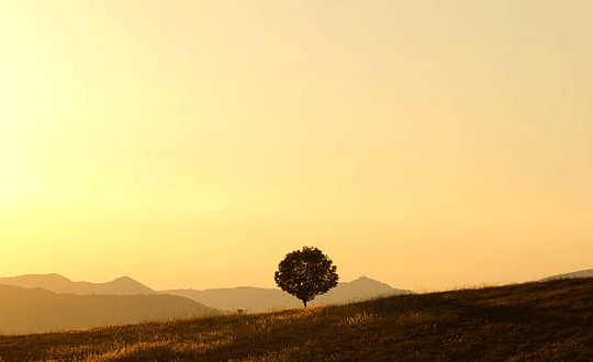 按五行八字起名是否缺啥補(bǔ)啥？