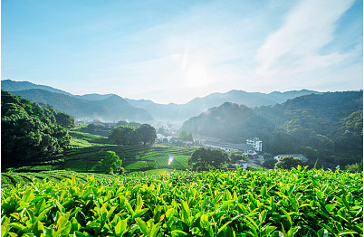 看了瞬間有換網(wǎng)名的沖動