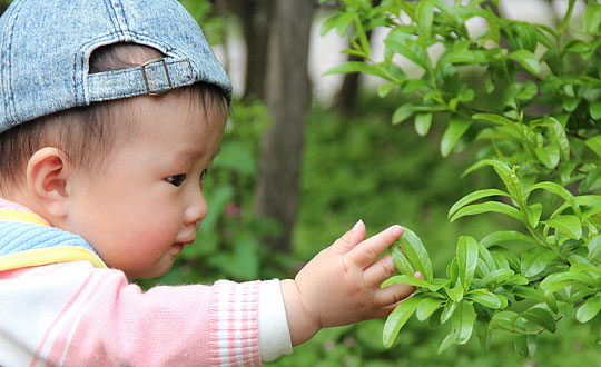 馮姓好聽(tīng)稀少的男孩名字